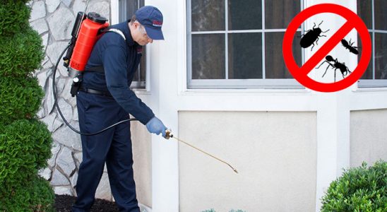 Kepsut Karınca İlaçlama böcek ilaçlama ve haşere kontrolü — ilaclama-tr.com